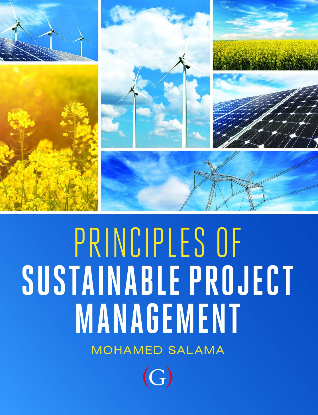 Principles of Sustainable Project Management