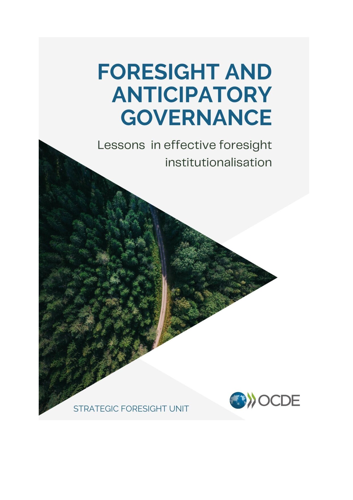 Foresight and Anticipatory Governance in Practice
